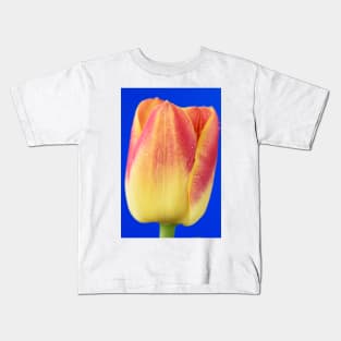 Tulipa  &#39;Candy Corner&#39;   Triumph Tulip Kids T-Shirt